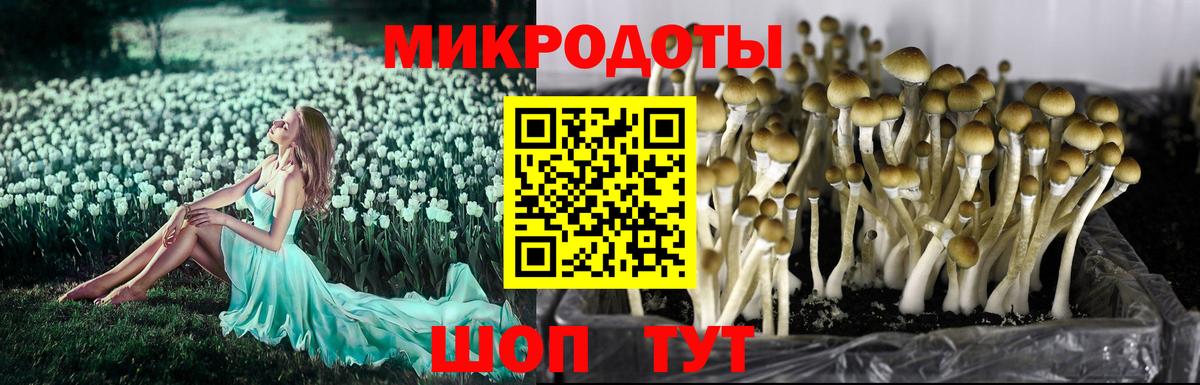 Галлюциногенные грибы MAGIC MUSHROOMS Усть-Илимск